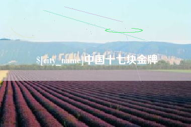 樟树中国十七块金牌