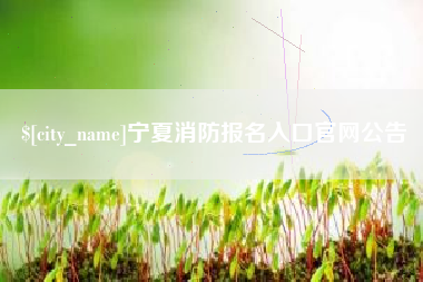 樟树宁夏消防报名入口官网公告