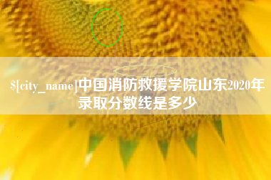 樟树中国消防救援学院山东2020年录取分数线是多少