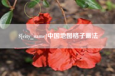 樟树中国地图格子画法