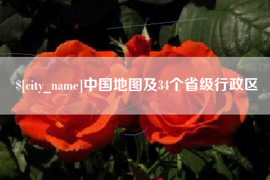 樟树中国地图及34个省级行政区