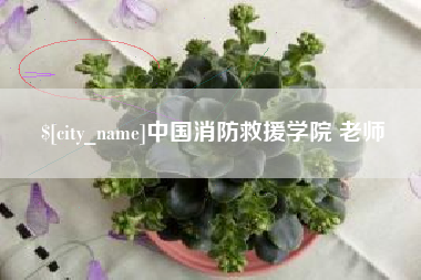 樟树中国消防救援学院 老师