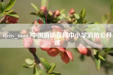 樟树中国消防官网中小学消防公开课