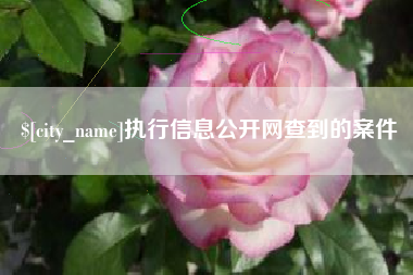 樟树执行信息公开网查到的案件