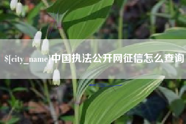 樟树中国执法公开网征信怎么查询