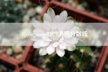 樟树2021消防分数线