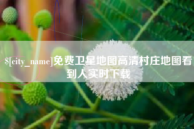 樟树免费卫星地图高清村庄地图看到人实时下载