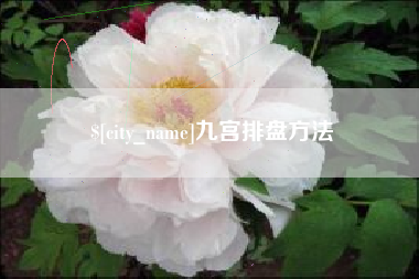 樟树九宫排盘方法