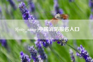 樟树中国消防报名入口