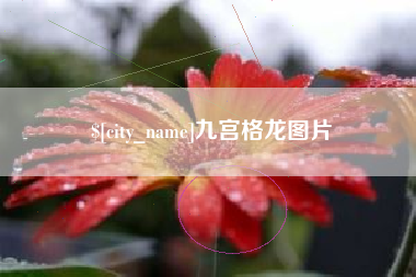 樟树九宫格龙图片