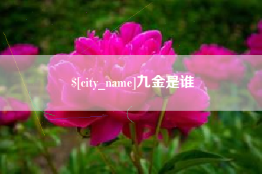 樟树九金是谁
