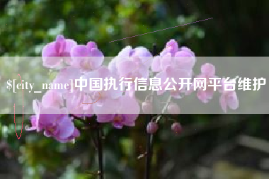 樟树中国执行信息公开网平台维护