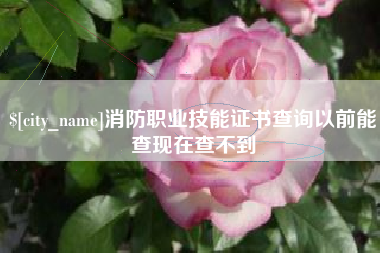 樟树消防职业技能证书查询以前能查现在查不到