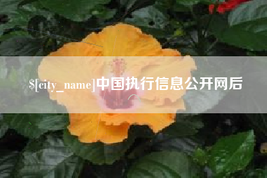 樟树中国执行信息公开网后