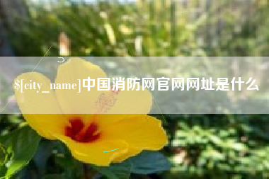 樟树中国消防网官网网址是什么