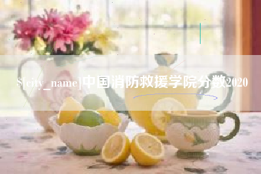 樟树中国消防救援学院分数2020