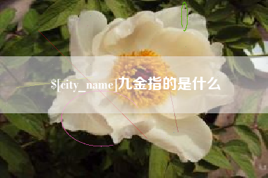 樟树九金指的是什么