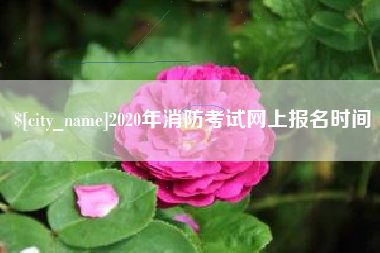 樟树2020年消防考试网上报名时间