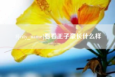 樟树看看王子豪长什么样