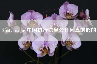 樟树中国执行信息公开网真的假的