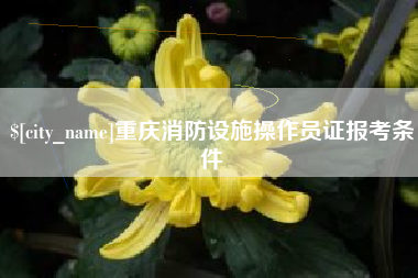 樟树重庆消防设施操作员证报考条件