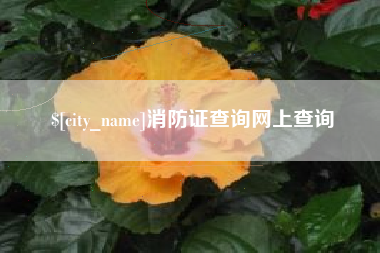樟树消防证查询网上查询