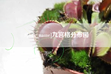 樟树九宫格分布图