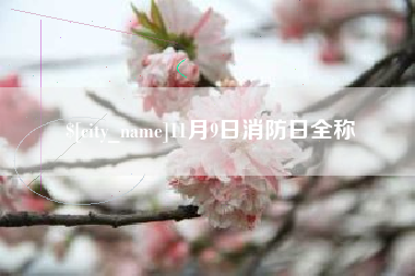 樟树11月9日消防日全称