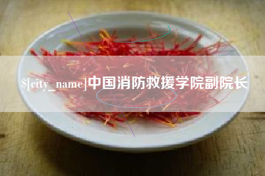 樟树中国消防救援学院副院长