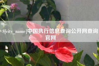 樟树中国执行信息查询公开网查询官网