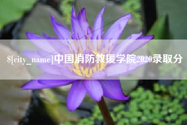 樟树中国消防救援学院2020录取分