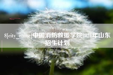 樟树中国消防救援学院2021年山东招生计划