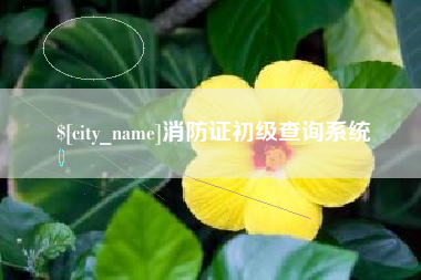 樟树消防证初级查询系统