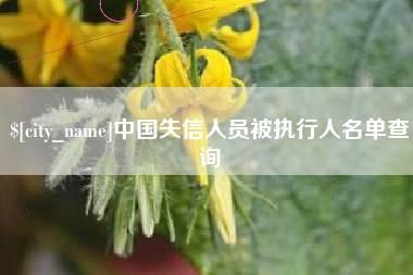 樟树中国失信人员被执行人名单查询