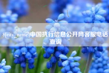 樟树中国执行信息公开网客服电话查询