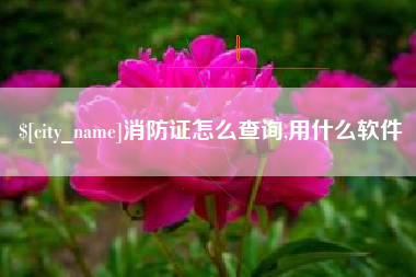 樟树消防证怎么查询,用什么软件