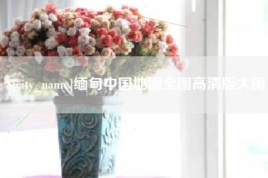 樟树缅甸中国地图全图高清版大图