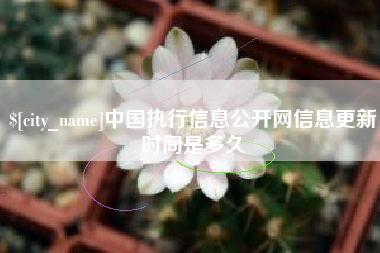 樟树中国执行信息公开网信息更新时间是多久