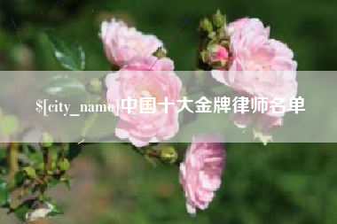 樟树中国十大金牌律师名单