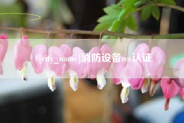 樟树消防设备ccc认证