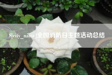 樟树全国消防日主题活动总结