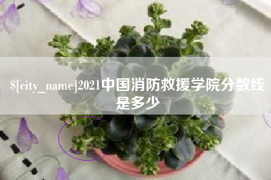 樟树2021中国消防救援学院分数线是多少