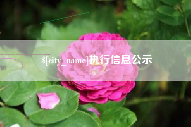 樟树执行信息公示