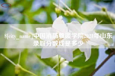 樟树中国消防救援学院2021年山东录取分数线是多少
