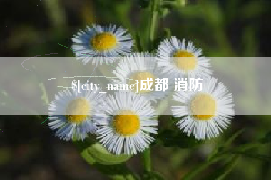 樟树成都 消防