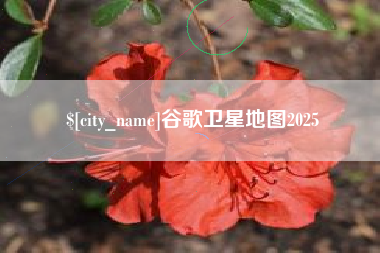 樟树谷歌卫星地图2025
