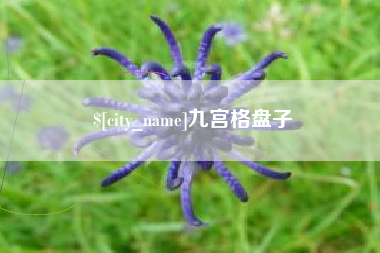 樟树九宫格盘子