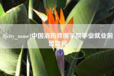 樟树中国消防救援学院毕业就业前景如何