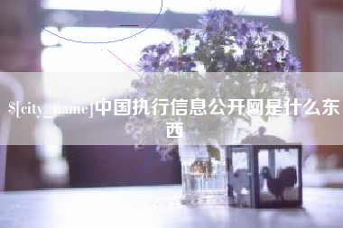 樟树中国执行信息公开网是什么东西