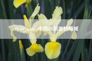 樟树中国消防器材商城